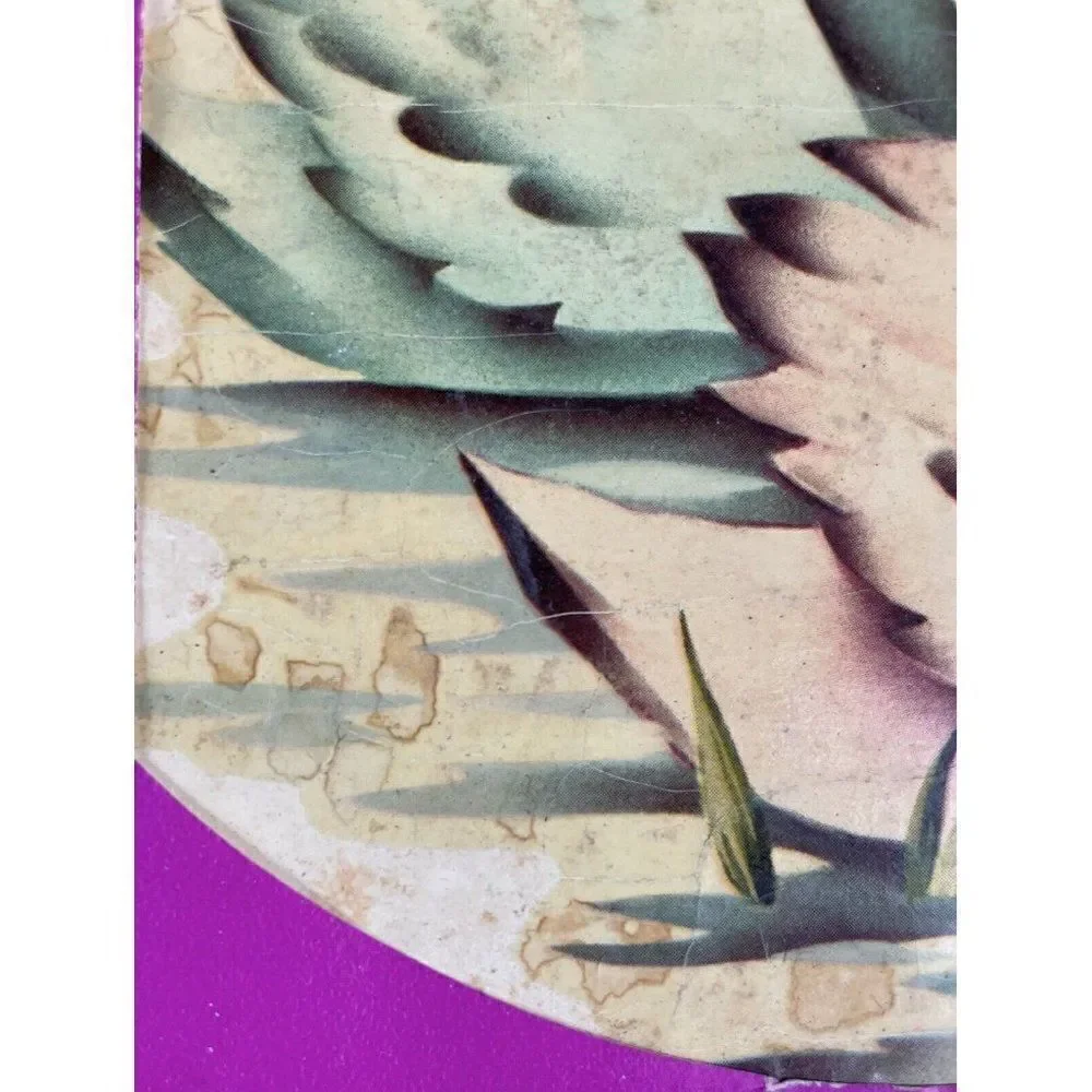 NOS Vintage 1970s Meyercord Decal Pink Blue Swans Kitschy Pond Flowers Transfer